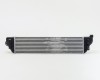RN Master 10->20 intercooler 2.3DCi 730X172X46