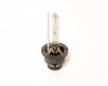 XENON Bulb D4S 35W 12V/24V 4300K NEOLUX