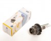 XENON Лампочка D4R 35W 12V/24V 4300K MARELLI