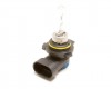 Bulb HIR2 55W 12V Px20d MARELLI