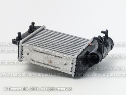 AD A6 04->08 radiators interkūlera 2.7TDi/3.0TDi 205X200X65 labais J.DEUS