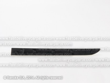 RN Megane 02->05 door mould rear R