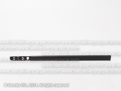 RN Clio 05->09 door mould front L