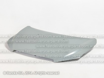 CV Aveo 11-> hood with mastic