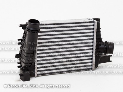 DC Duster 10->17 radiators interkūlera 1.2TCE 257X216X64 13->