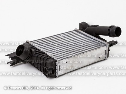 DC Duster 10->17 radiators interkūlera 1.2TCE 257X216X64 13->