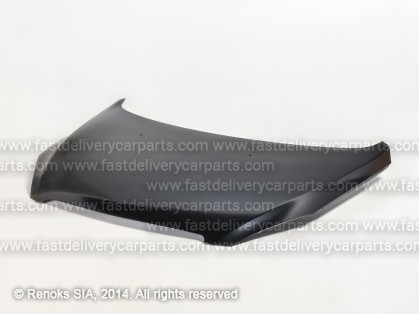 PG 307 01->05 motora pārsegs ar mastiku STEEL