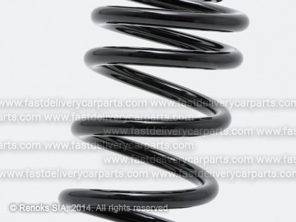 AD 100 91->94 coil spring rear AVANT TEVEMA