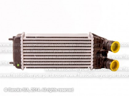 PG 207 06->13 radiators interkūlera 1.6HDi 300X147X80 MARELLI