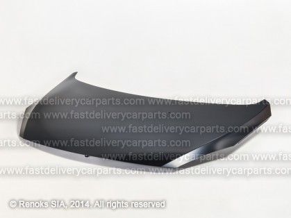 PG 307 05->07 motora pārsegs ar mastiku
