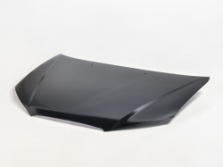 HY Elantra 06->10 hood