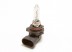 Bulb HIR2 55W 12V Px20d MARELLI