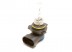 Bulb HIR2 55W 12V Px20d OSRAM
