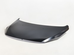 PG 307 05->07 motora pārsegs ar mastiku