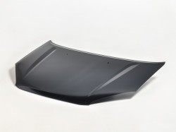 TT Rav4 00->03 hood with mastic