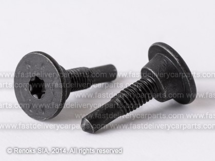 VW skrūve M 6.0MM N90740701 6N080719 41168Z
