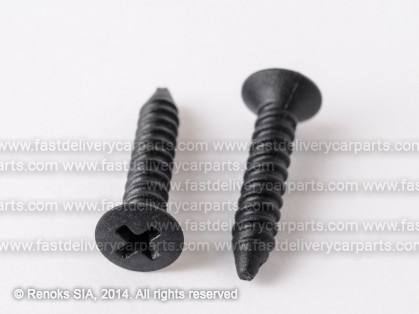 AD screw self tapping 81186480901C 48046060