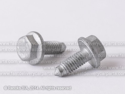 RN screw M 6.0MM 18750224 7703002020 41304