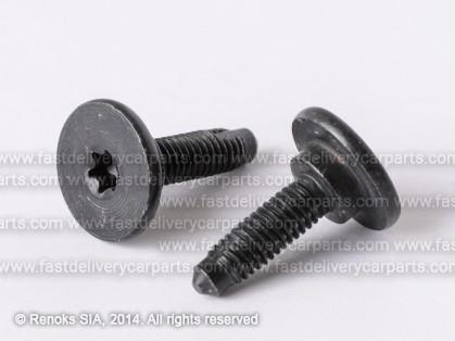 FT screw M 6.0MM 46419734 RX45224 41312Z