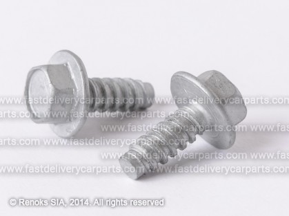 RN skrūve M 6.3MM 7703016264 48091290