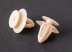 FD interior trim clip A0069884378 E865220S