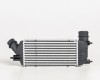 PG EXpert 07->16 radiators interkūlera 2.0HDi 300X145X80 RA96467
