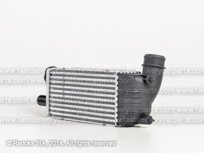 PG EXpert 07->16 radiators interkūlera 2.0HDi 300X145X80 RA96467