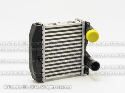 SMART Fortwo 98->06 intercooler 0.6/0.7 218X171X50 RA96893 SRLine