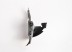 RN Kangoo 98->02 inner fender front, front part R