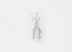 Bulb T1.2W 12V HELLA 10pcs