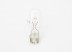 Bulb W16W 12V HELLA